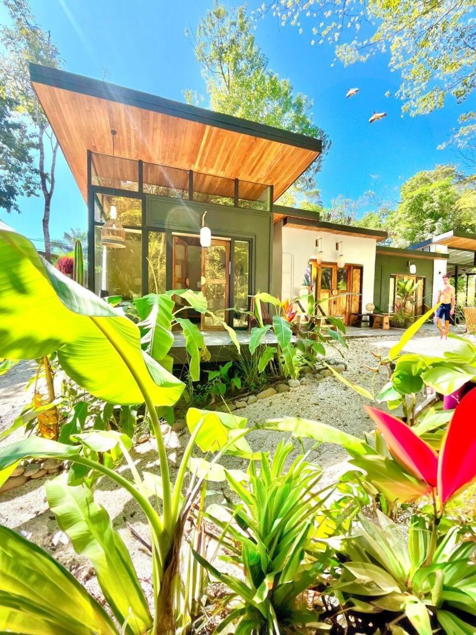 Vila Ikiru House Playa Santa Teresa  Exteriér fotografie